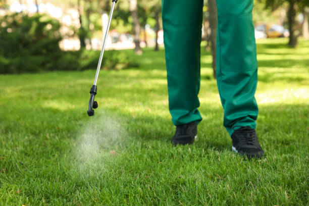 Best Flea Control Services  in Valley View, PA