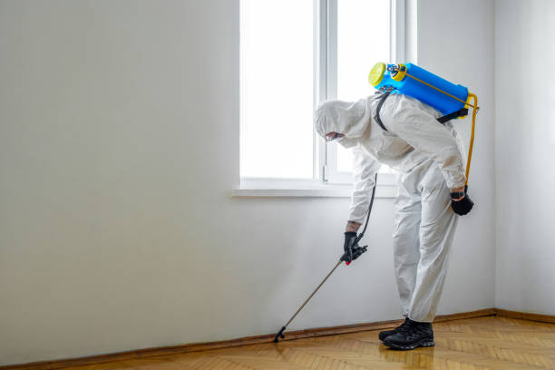 Pest Prevention Services in Valley View, PA