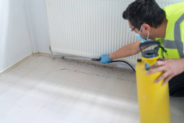 Best Best Pest Control Companies  in Valley View, PA
