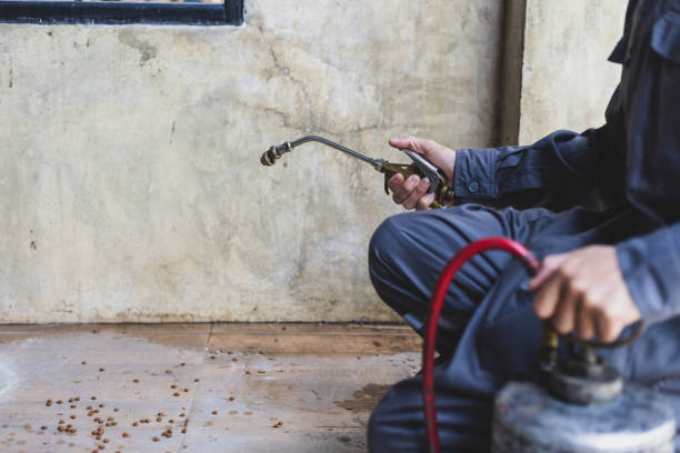 Best Residential Pest Control  in Valley View, PA
